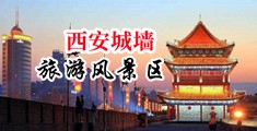 美女粉逼中国陕西-西安城墙旅游风景区